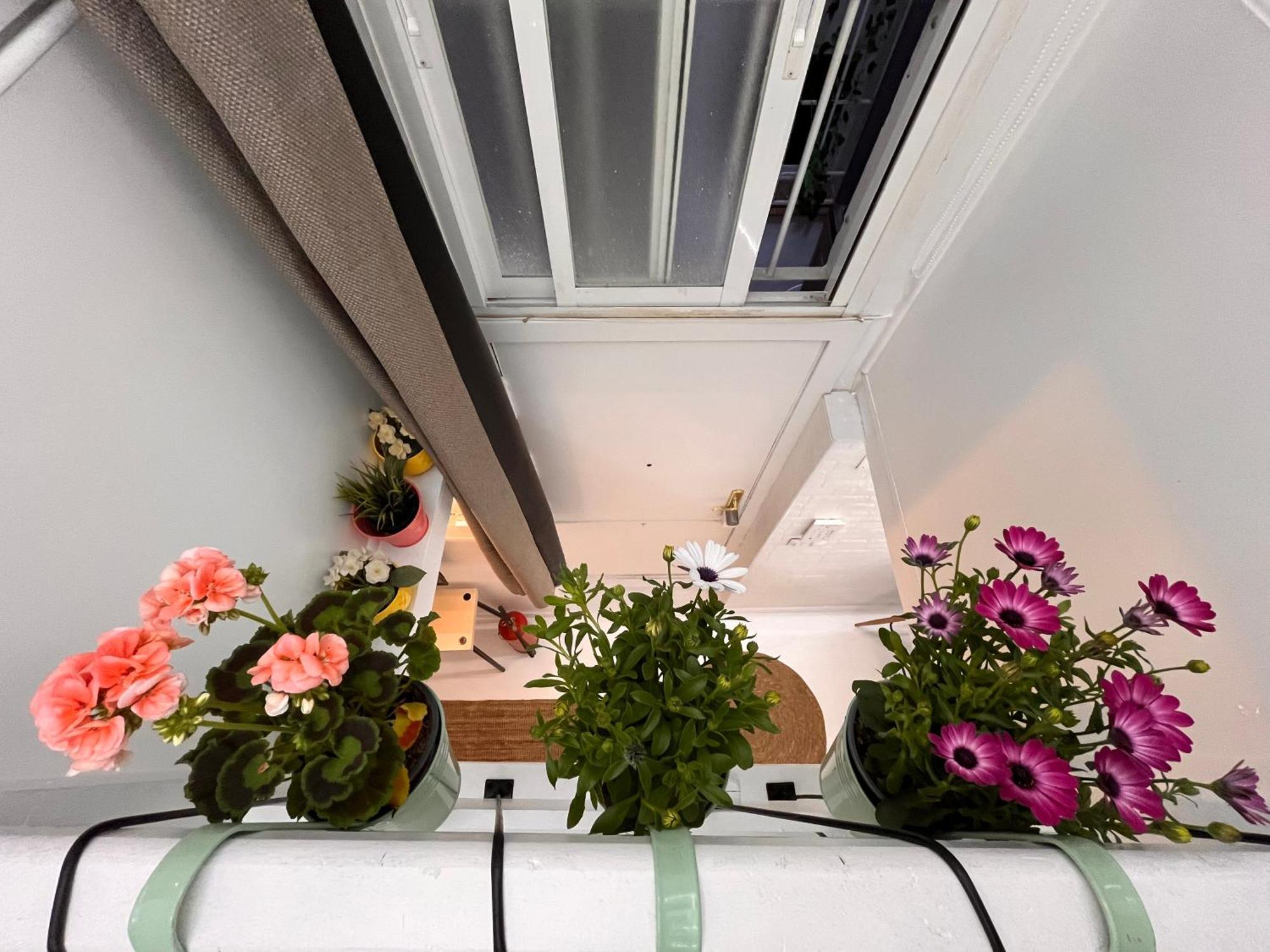 Mini Duplex4 Plaza Mayor Μαδρίτη Εξωτερικό φωτογραφία